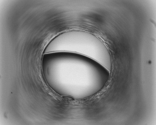 X0000096410241200801241031