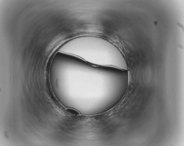 X0000096410243200801241031