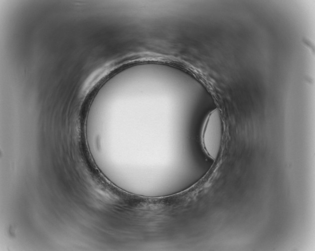 X0000096410247200801241031