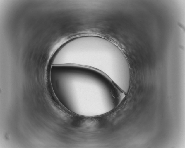 X0000096410248200801241031