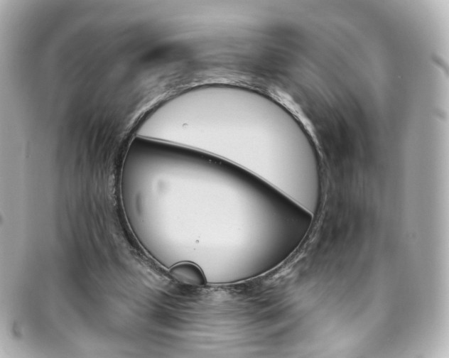 X0000096410249200801241031