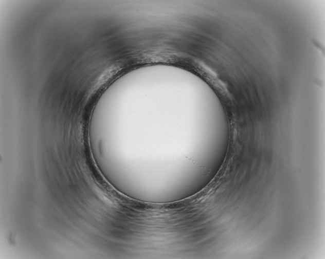 X0000096410250200801241031