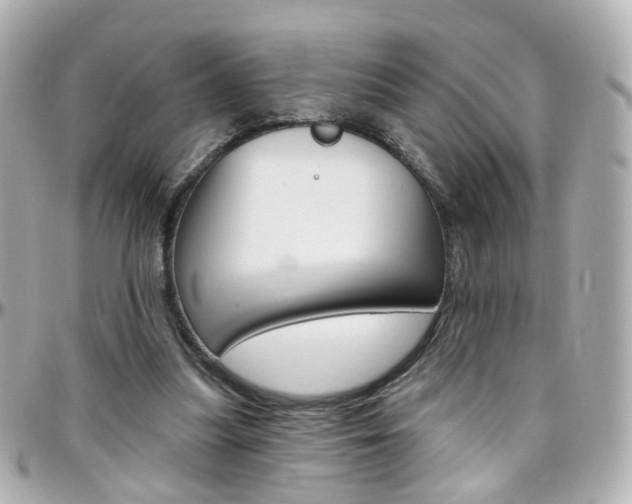 X0000096410251200801241031