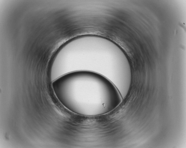 X0000096410252200801241031