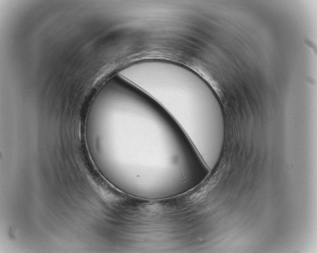 X0000096410253200801241031