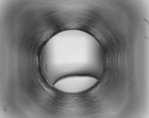 X0000096410254200801241031