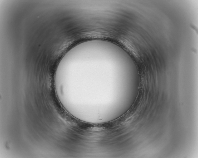 X0000096410255200801241031