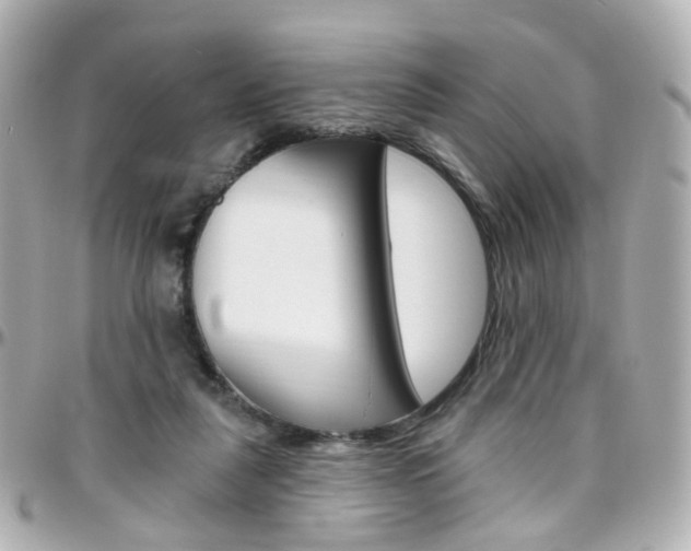 X0000096410259200801241031
