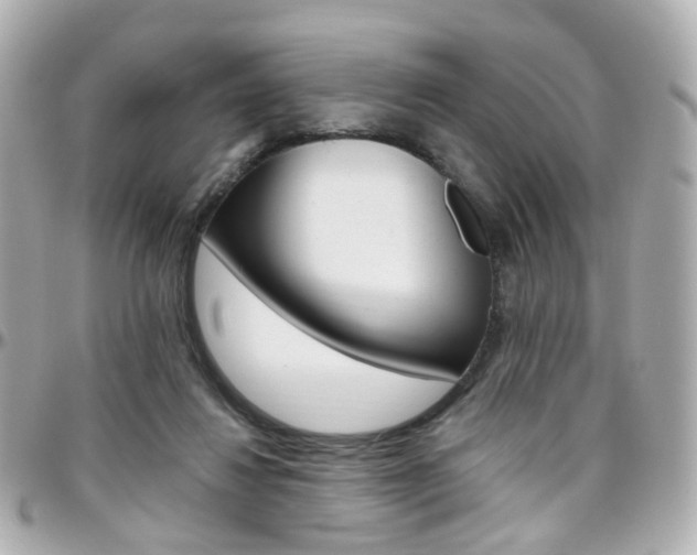 X0000096410260200801241031
