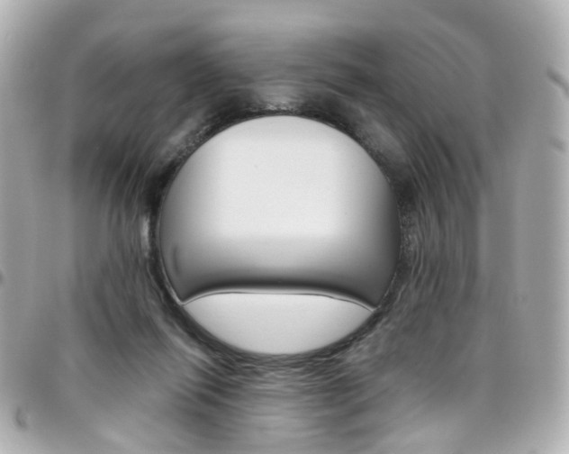 X0000096410262200801241031