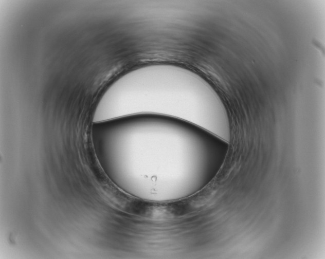 X0000096410264200801241032