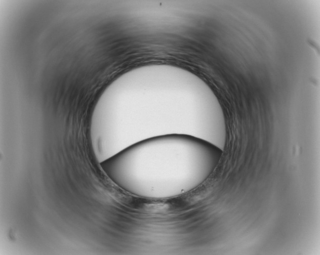 X0000096410266200801241032