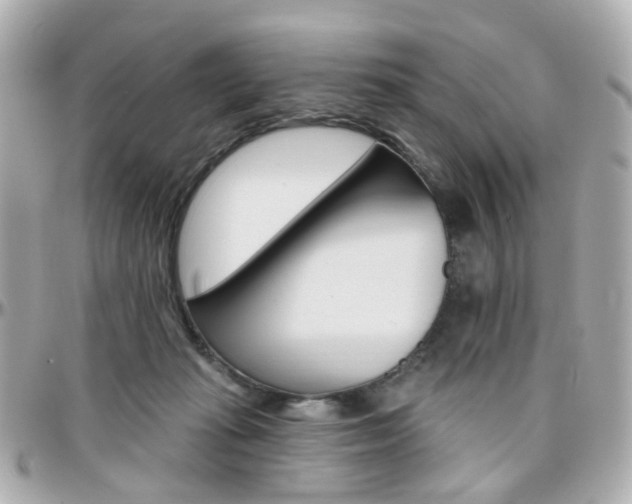 X0000096410269200801241032
