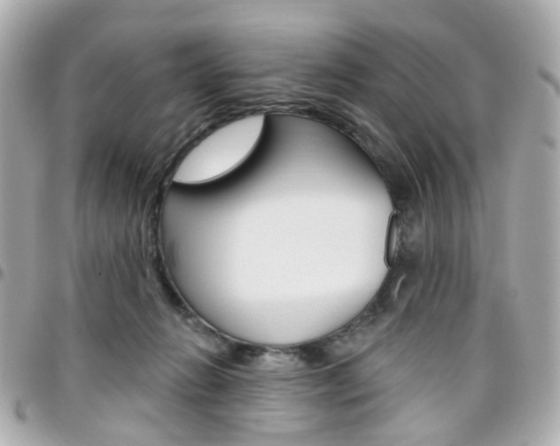 X0000096410270200801241032