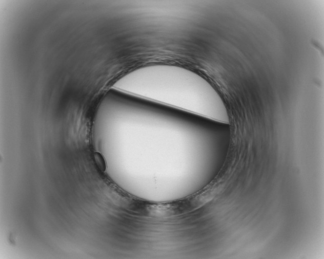 X0000096410273200801241032