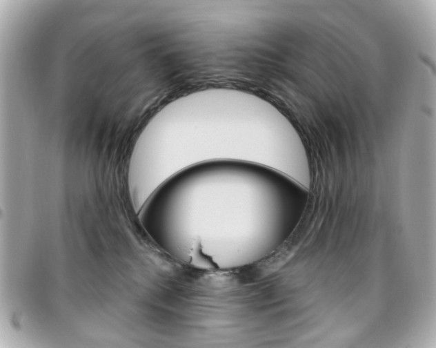 X0000096410280200801241032