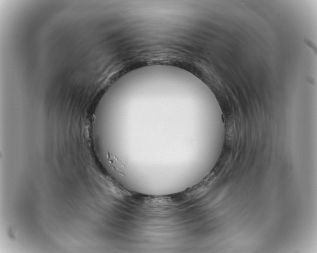 X0000096410282200801241032