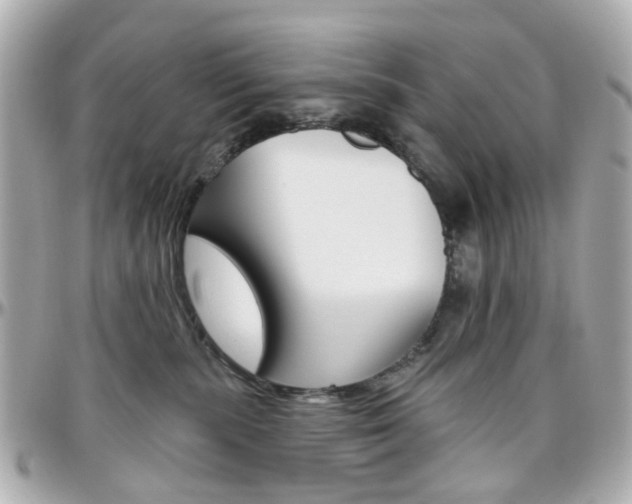 X0000096410283200801241032