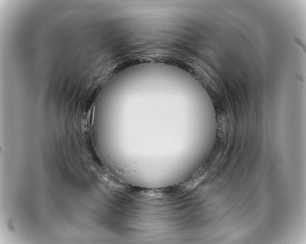 X0000096410284200801241032