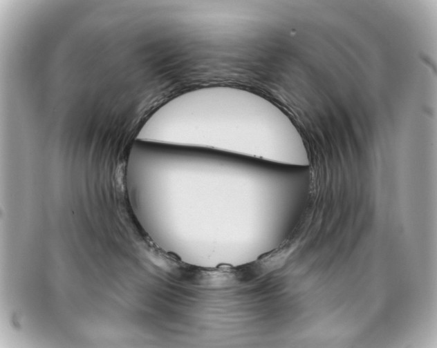 X0000096410286200801241032