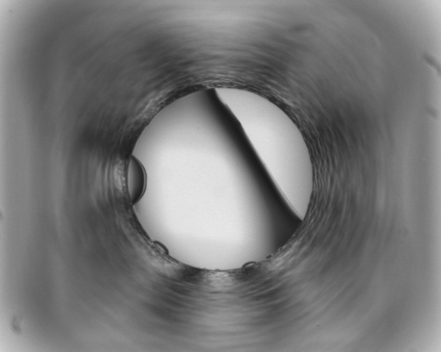 X0000096410287200801241032