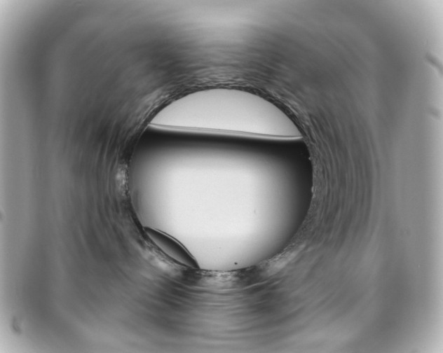 X0000096410288200801241032