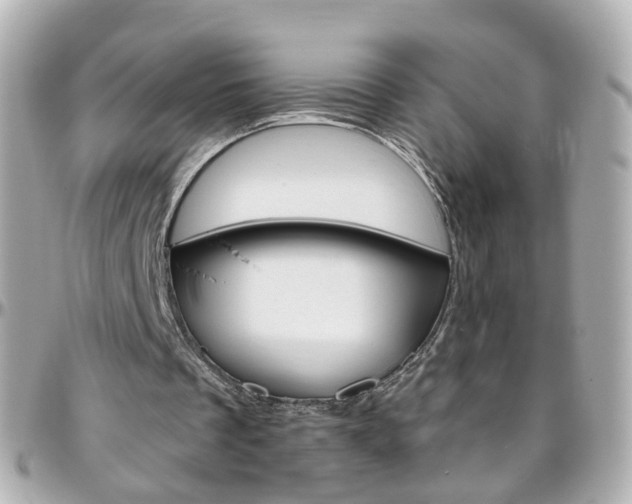 X0000096410289200801241031