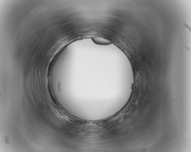 X0000096410290200801241031