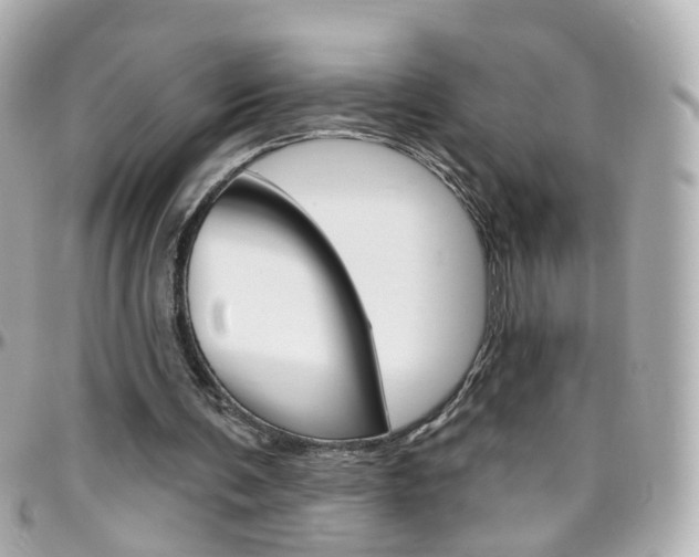 X0000096410291200801241031