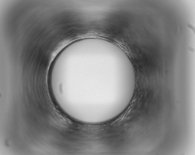 X0000096410292200801241031