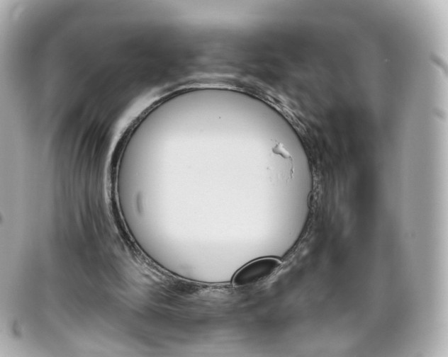 X0000096410294200801241031