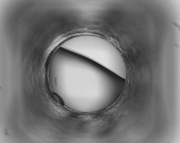 X0000096410295200801241031
