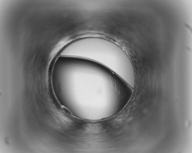 X0000096410296200801241031