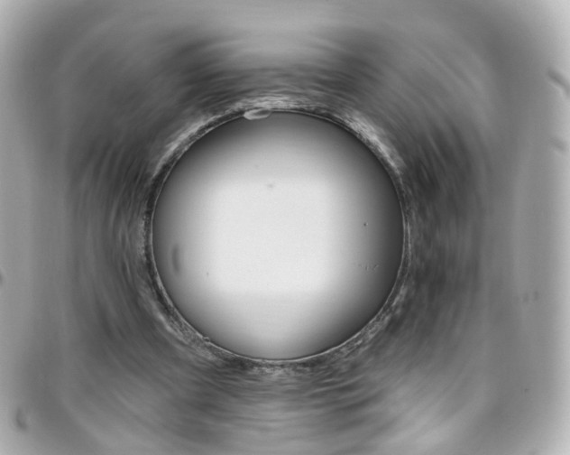 X0000096410297200801241031