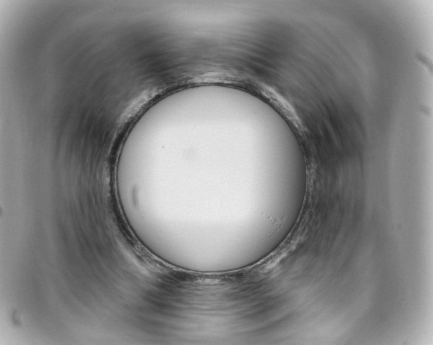 X0000096410298200801241031