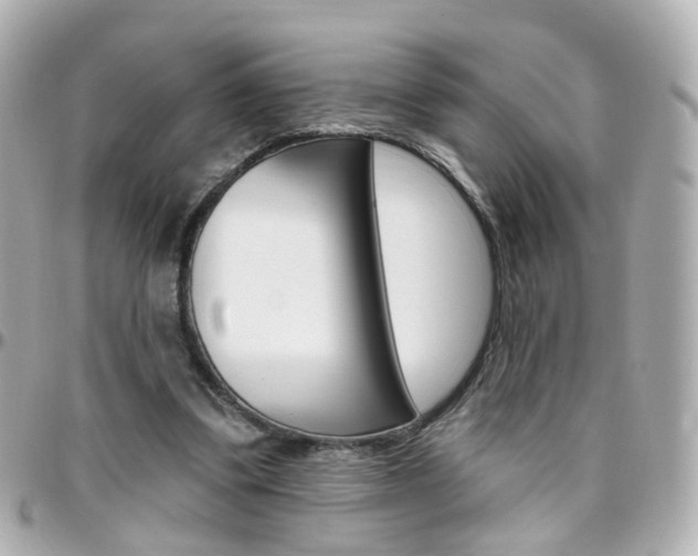 X0000096410299200801241031