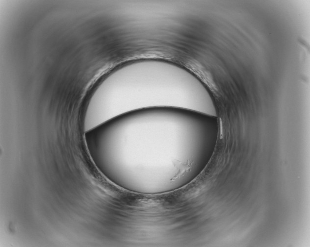 X0000096410300200801241031