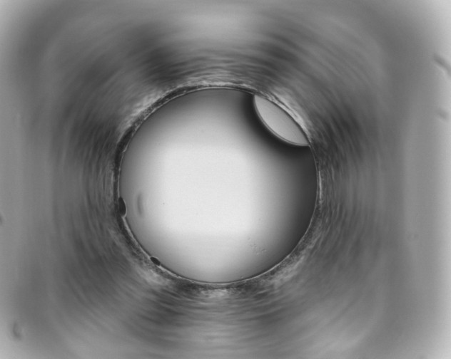 X0000096410301200801241031