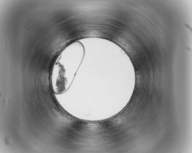 X0000096410302200801241031