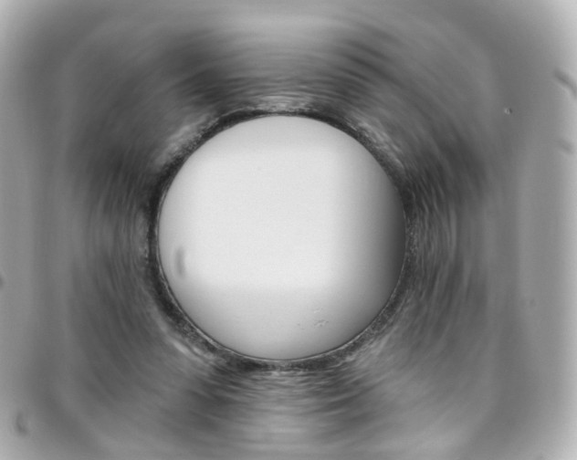 X0000096410303200801241031
