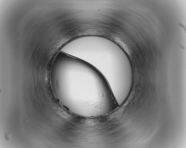 X0000096410305200801241031