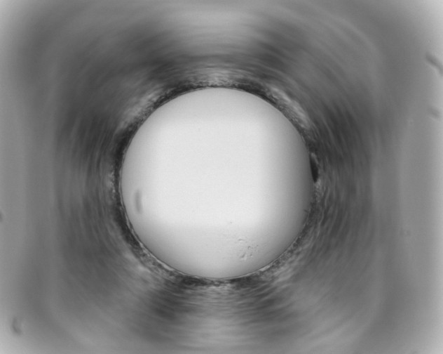X0000096410306200801241031
