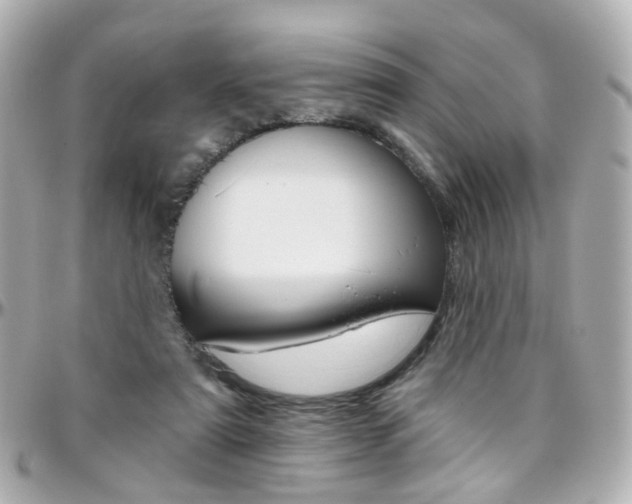 X0000096410307200801241031
