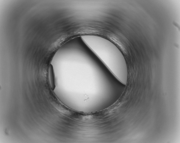 X0000096410309200801241031