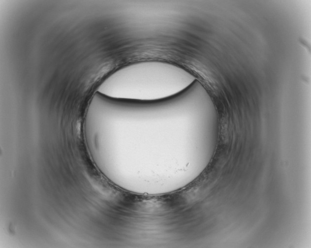 X0000096410310200801241031