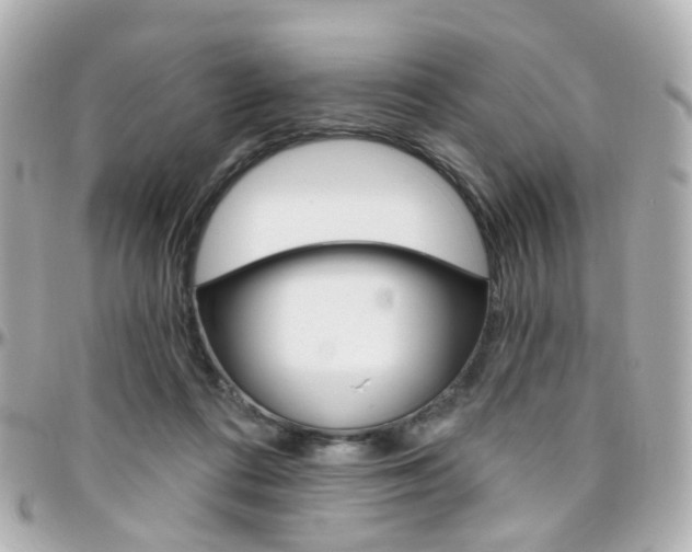 X0000096410312200801241031
