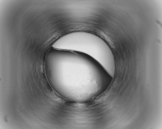 X0000096410313200801241031
