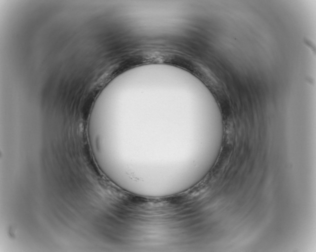X0000096410314200801241031