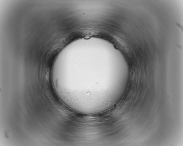 X0000096410315200801241031