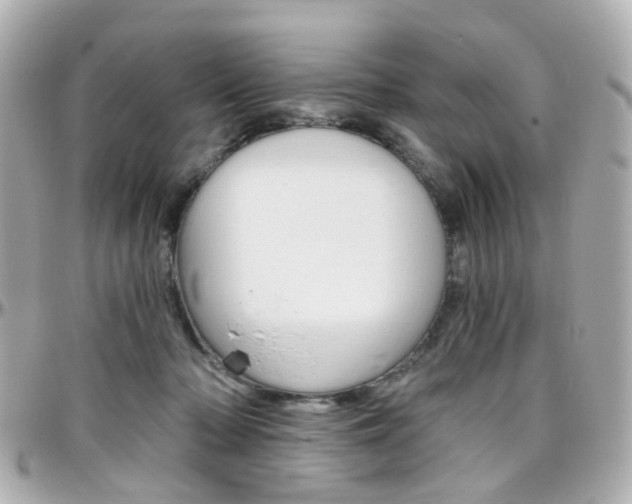 X0000096410318200801241031